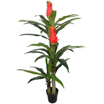 Faux Red Flowering Multi Cane Dracena 167cm