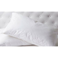 Duck Feather & Down Quilt 500GSM Set And 2 Pack Pillows - White Double