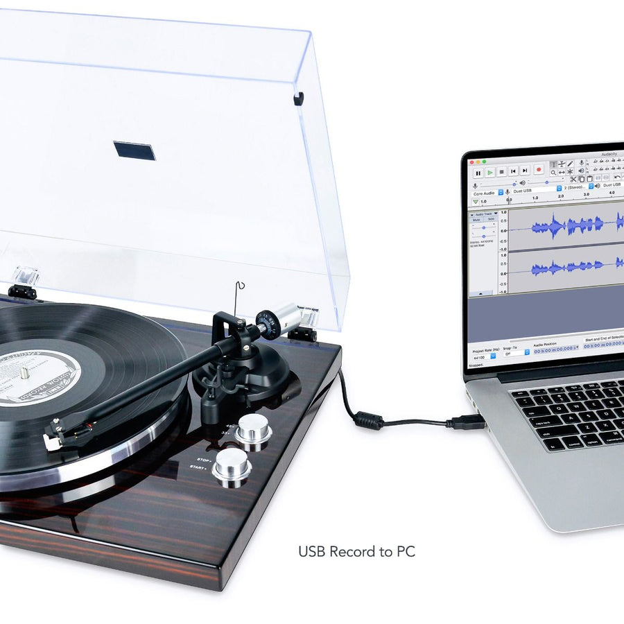 Hi-Fi Bluetooth Turntable (MMC, USB, Anti-skating, Preamplifier) - Macassar Ebony