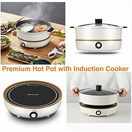 IH Induction Cooker with Hot Pot C21-CL01 300W-2100W