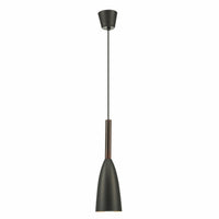 Black Ceiling Lamp - Pendant