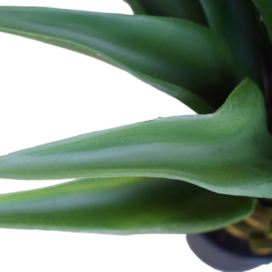 Agave Artificial 60cm Plant