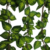 Artificial Pothos / Ivy Hanging Vines 260cm Each (5 pack)