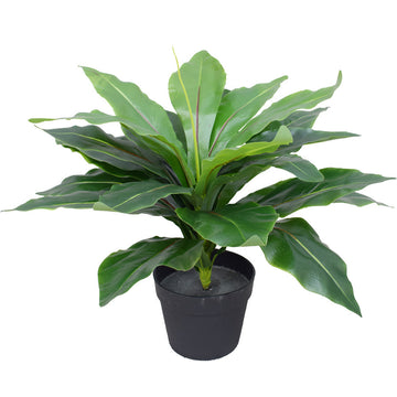 Artificial Potted Wide Leaf Birds Nest Fern 50cm