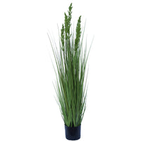 Flowering Native Grass 120 cm