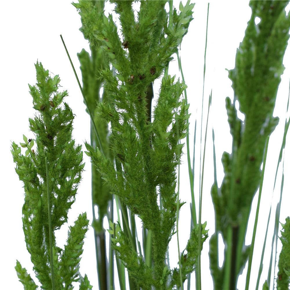 Flowering Native Grass 120 cm