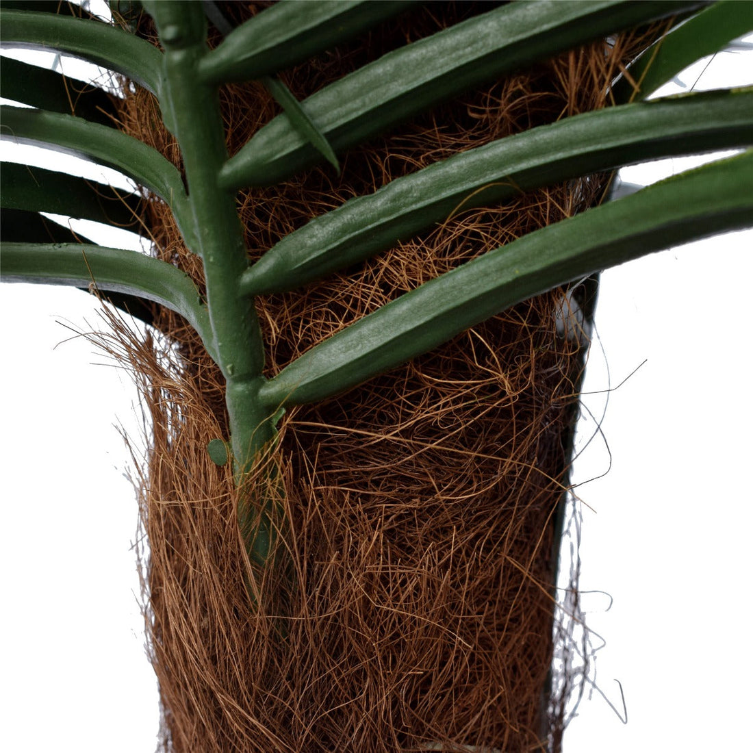 Tropical Phoenix Palm Tree 170cm UV Resistant