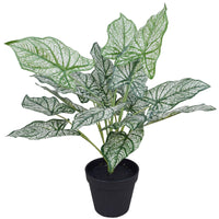 Artificial Potted White Evergreen Aglaonema 40 cm