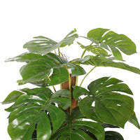 Artificial Money Plant (Monstera) with decorative pot 180cm