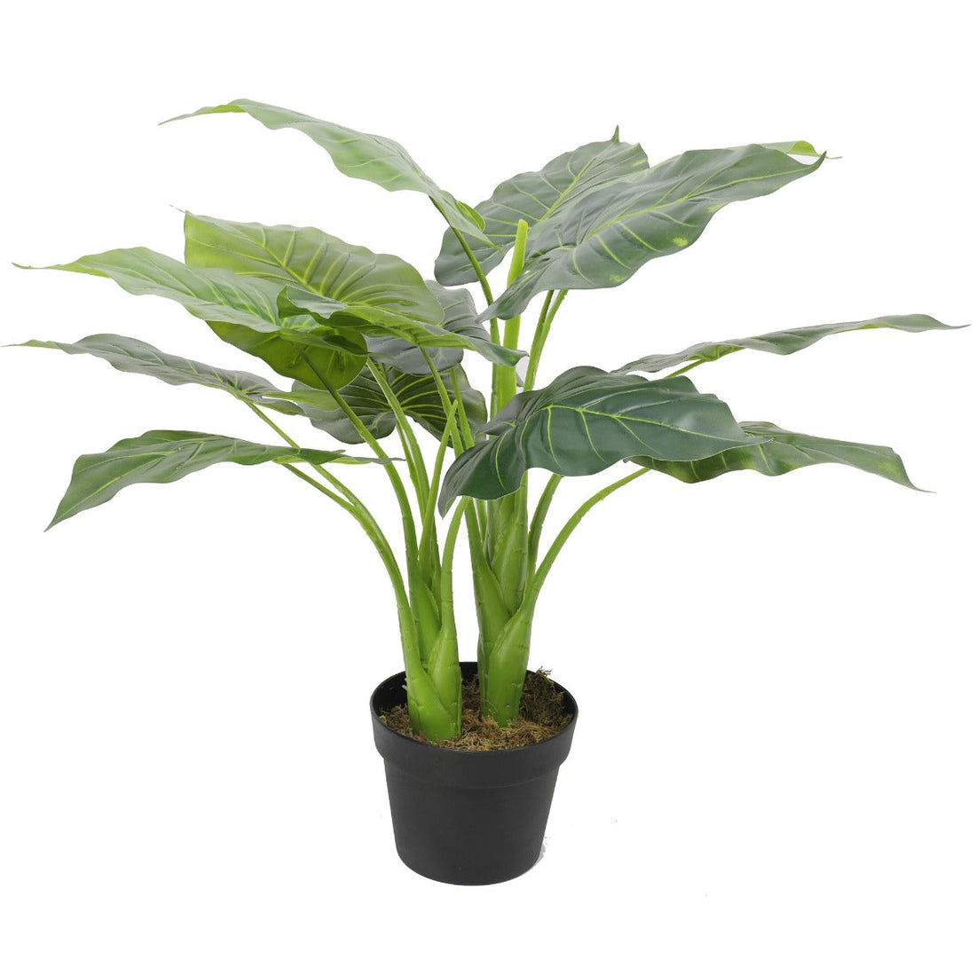 Artificial Potted Taro Plant / Elephant Ear 70cm