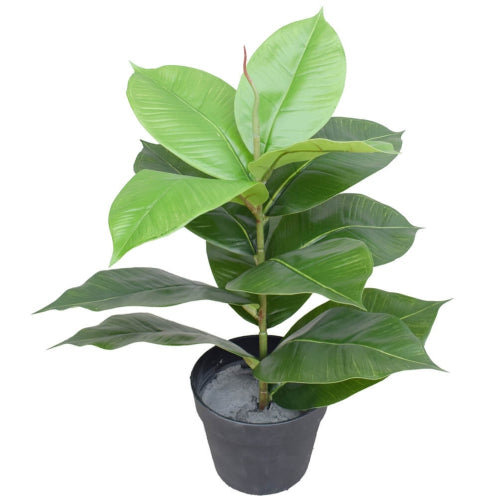 Artificial Potted Rubber Plant 55cm