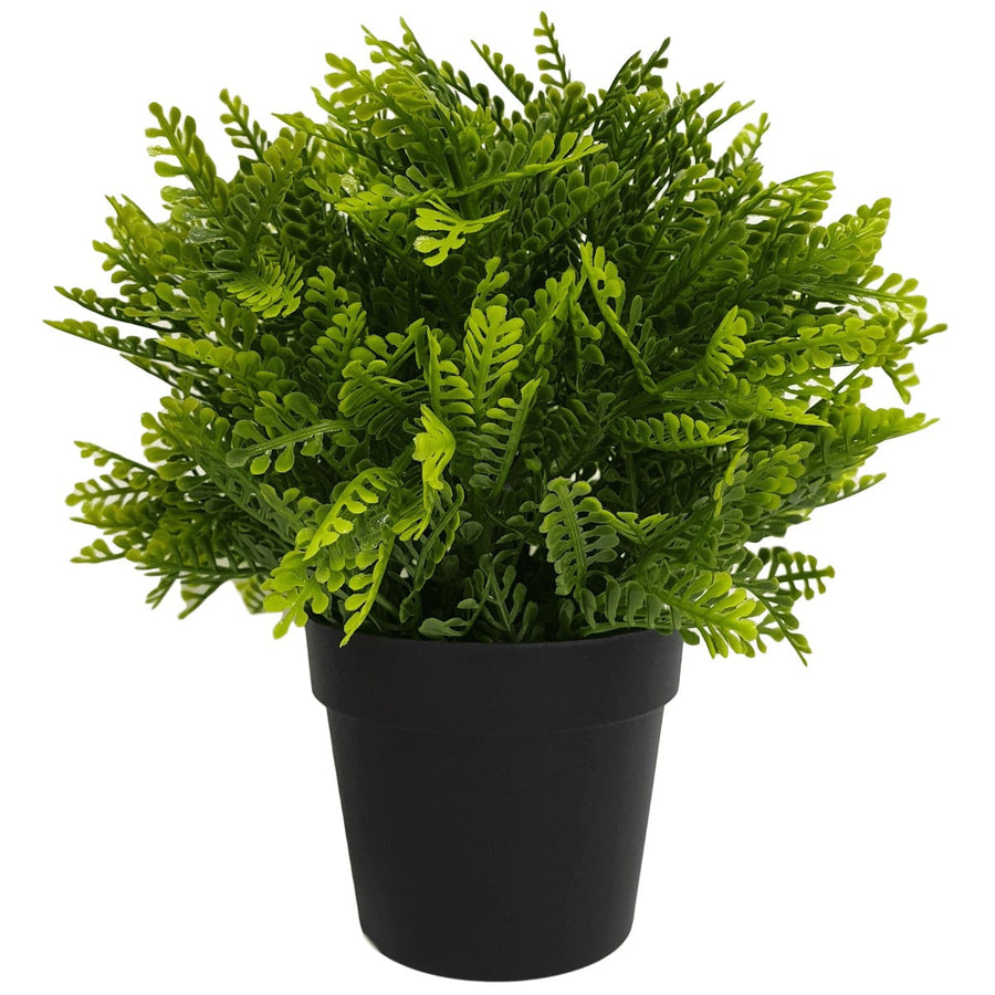 Small Potted Artificial Mimosa Fern UV Resistant 20cm