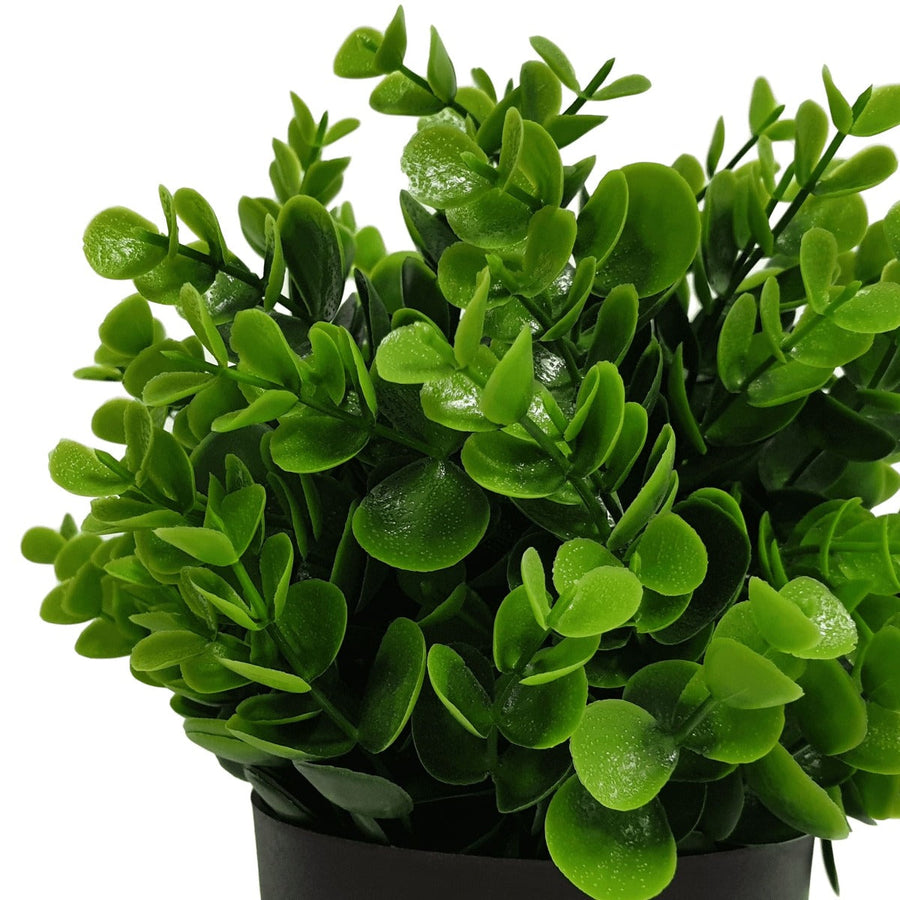 Small Potted Artificial Peperomia Plant UV Resistant 20cm